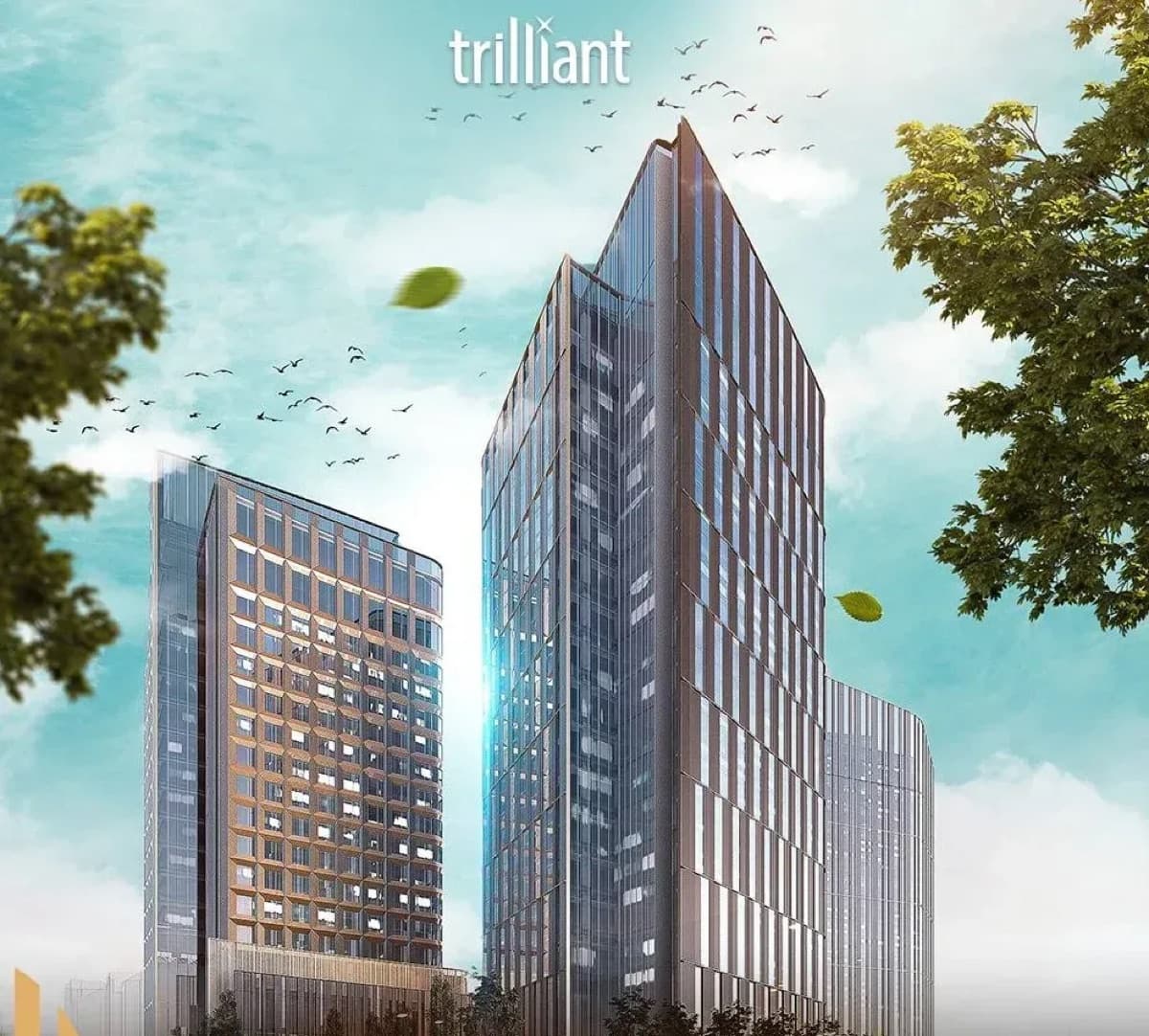 Trilliant Tashkent